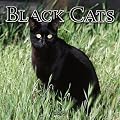 Black Cats 2005 Wall Calendar