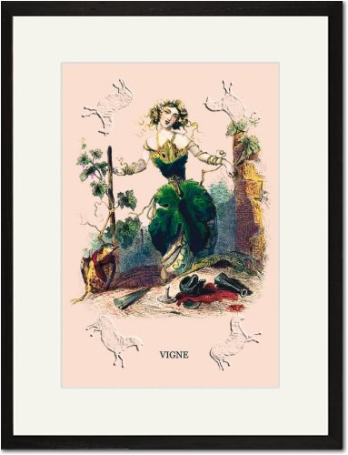 Black Framed Matted Print 17x23 - Vigne