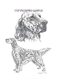English Setter - Double Image by Cindy Farmer