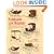 Carriages and Sleighs: 228 Illustrations from the 1862 Lawrence, Bradley & Pardee Catalog