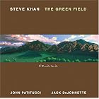 The Green Field by Steve Khan
