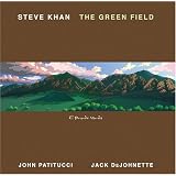 Green Field ~ Steve Khan