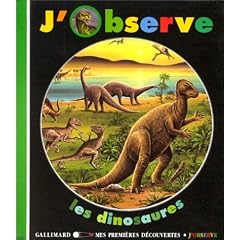 J'observe les dinosaures