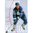 The Story of the Toronto Maple Leafs (The NHL: History and Heros) by Bill McAuliffe