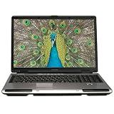 Product details for Toshiba Satellite P105-S9337 17