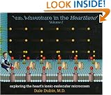 Ion Adventure in the Heartland, Volume 1