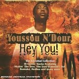Hey You! (The Essential Collection)