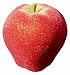 BOTANIQUE Artificial Fruits Apple 3pcs