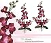 TWO 30" Phalaenopsis Orchid Artificial Silk Flower Bendable Sprays
