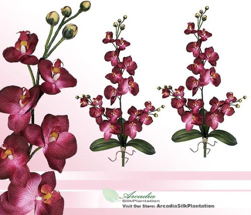 TWO 30″ Phalaenopsis Orchid Artificial Silk Flower Bendable Sprays