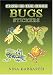 Glow-in-the-Dark Bugs Stickers (Dover Little Activity Books)