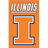 Illinois Fighting Illini NCAA Applique Banner Flag (44x28)