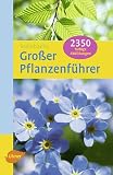 Steinbachs gro&szlig;er Pflanzenf&uuml;hrer - Bruno P. Kremer
