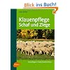 Klauenpflege Schaf und Ziege: Grundlagen - Praxis - Moderhinke