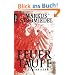 Feuertaufe: Politthriller
