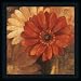 Bold Orange Gerber Daisy III by Albena Hristova Contemporary Floral Wall Art Print Framed Décor