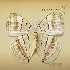 White Moth