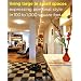Living Large in Small Spaces: Expressing Personal Style in 100 to 1,000 Square Feet