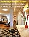 Living Large in Small Spaces: Expressing Personal Style in 100 to 1,000 Square Feet