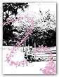 Pink Butterflies by Miguel Paredes 11"x14" Art Print Poster Latin
