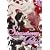 �X�g���x���[�E�p�j�b�N 1 �ʏ�� [DVD]