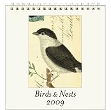 Birds & Nests Cavallini 2009 Vintage Prints easel desk calendar 6 by 6.5 inches Cream Laid paper finish