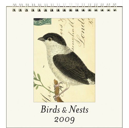 Birds & Nests Cavallini 2009 Vintage Prints easel desk calendar 6 by 6.5 inches Cream Laid paper finish