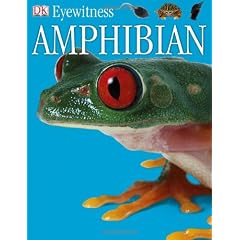 Amphibian (DK Eyewitness Books)
