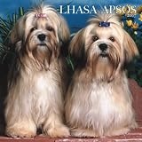 Lhasa Apsos 2007 Calendar