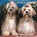 Lhasa Apsos 2007 Calendar