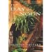 The Bay of Noon: A Novel