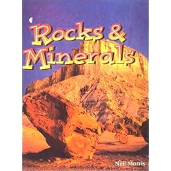 Diagenesis in Sediments and Sedimentary Rocks (Vol. 1) (Developments in Sediment