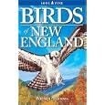 Birds of New England by Roger Burrows and Wayne R. Petersen