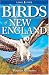Birds of New England