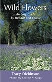 Wild Flowers: An Easy Guide by Habitat and Colour
