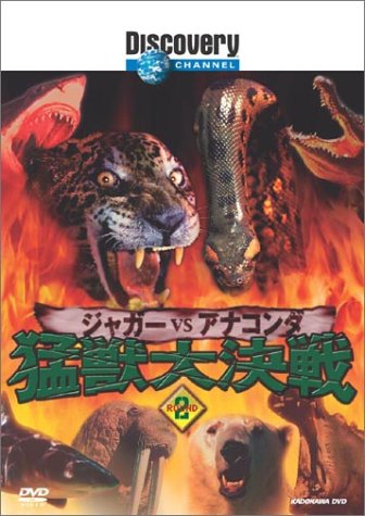Cover image : ディスカバリーチャンネル 猛獣大決戦 Round2 ジャガーvsアナコンダ [DVD]