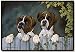 Boxers Looking Over the Fence Boxer Doormat Mat Rug Dog Home Decor