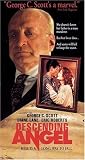 VHS : Descending Angel