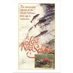 A Last Wild Salmon