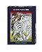 Heye Zebra Puzzles (1000-Piece)