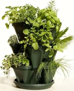 Amazon.com: 3 Tiered Stackable Indoor Outdoor Vertical Herb Planter