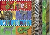 Cover of Softies by Joanna Bicknell 184610081X