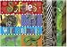 Softies: Wild Animals (Softies)