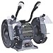 Genesis GBG800L Bench Grinder with Dual Light, 8-Inch