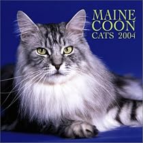 Maine Coon Cats 2004 Calendar