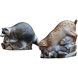 McKenzie  Rock Rascals Bobcat Target