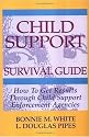 Child Support Survival Guide: How to Get Results Through Child Support Enforcement Agencies