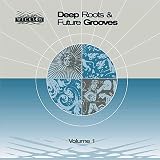 Review Various Artists  / Deep Roots and Future Grooves: a Global Music Mix