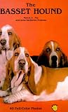 The Basset Hound/Ps-815