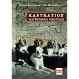 Kastration und Verhalten beim Hund